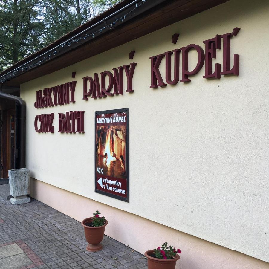 Grand Spa Holiday Home II Sklené Teplice Екстериор снимка